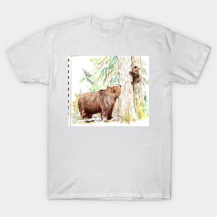 Grizzly Bear mom and cub sketchbook version T-Shirt